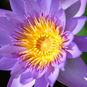 feng shui presentation testimonials